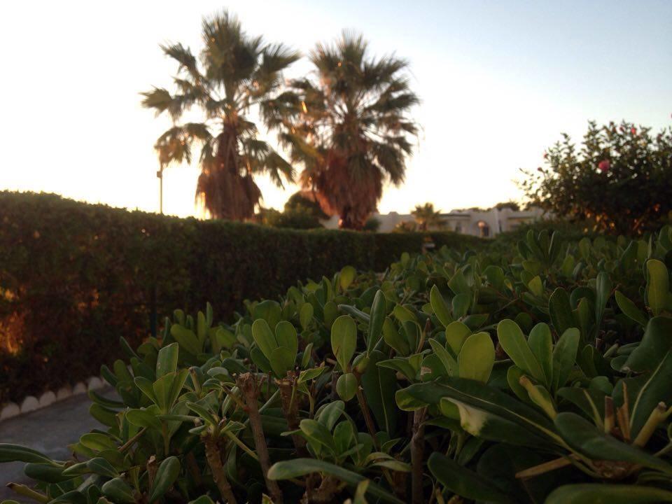 Complexe Touristique Sidi Salem Hotel Bizerte Ngoại thất bức ảnh